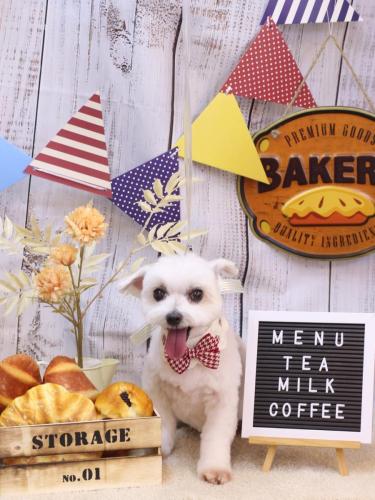 20240904うららちゃん